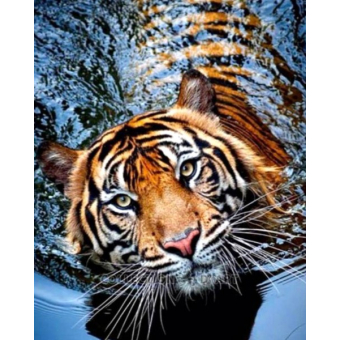 Mona Lisa diamond painting 40x30cm: tijger in water
